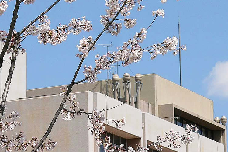国立大学法人 滋賀医科大学 消化器内科